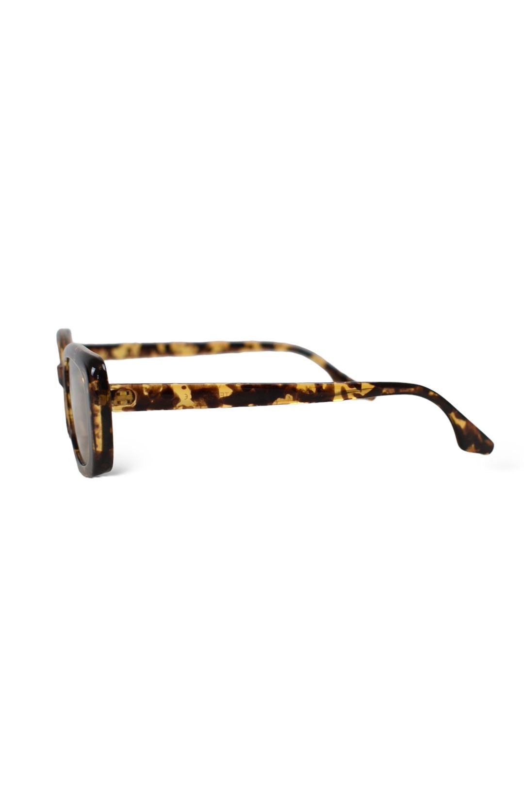 Womens PALERMO Tortoise Sunglasses 2